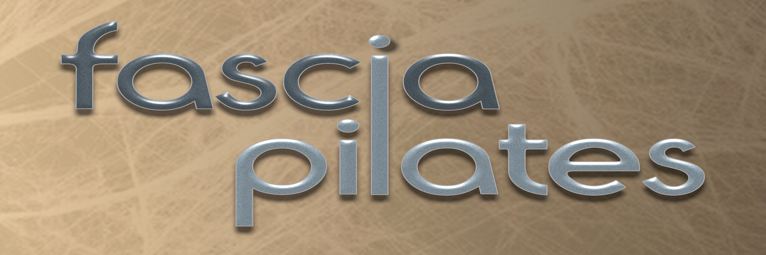 Logo3D-contour-SILVERdark-long.png